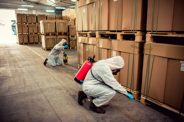 Best Affordable Pest Control Services  in Boonton, NJ