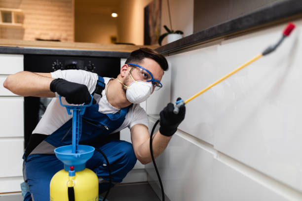 Best Rat Extermination Near Me  in Boonton, NJ