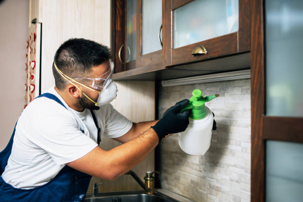 Best Flea Control Services  in Boonton, NJ