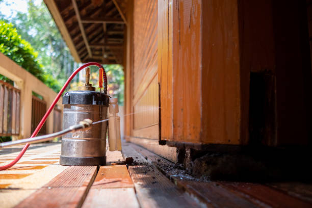 Best Pest Prevention Services  in Boonton, NJ