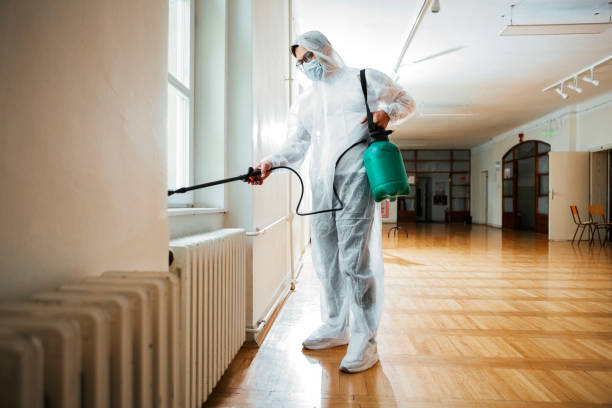 Wasp Removal Services in Boonton, NJ