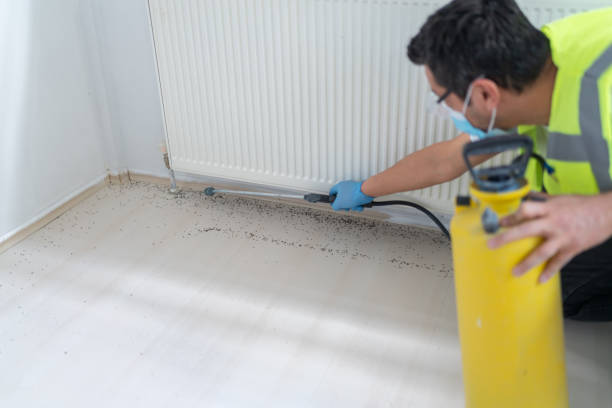 Best Mosquito Control Services  in Boonton, NJ